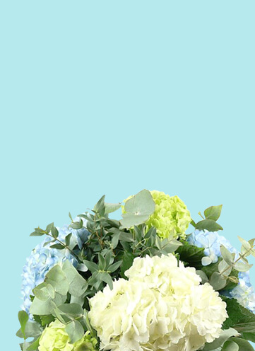 Same day Flowers Balham